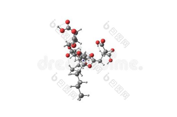 伏马菌素分子的结构隔离的向白色的