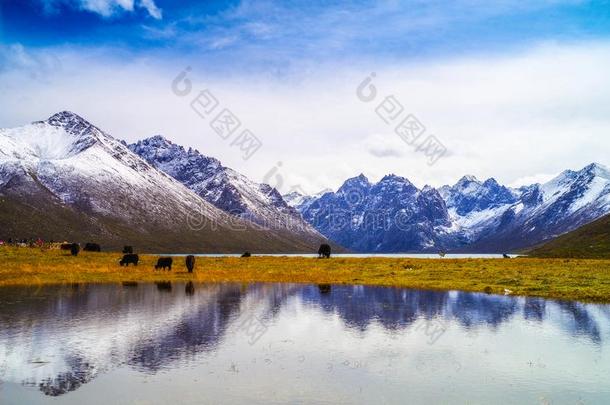 雪山和湖