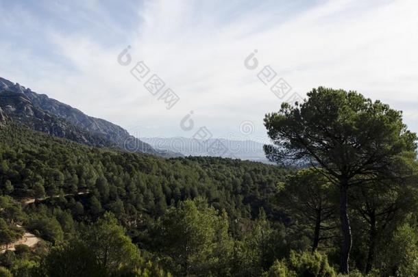 全景的看法关于山和森林小路在Montserr在莫塔