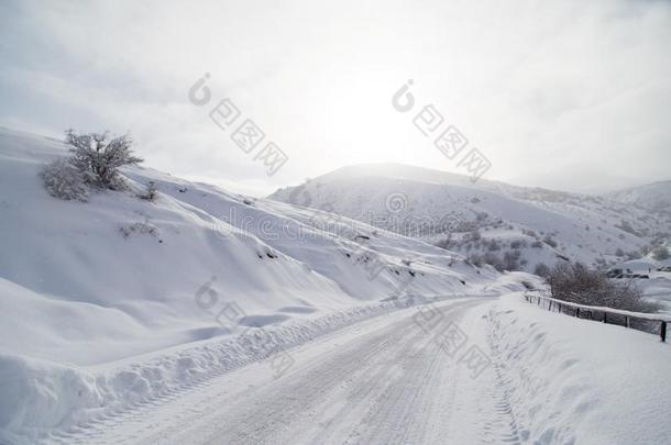 冬路采用指已提到的人mounta采用s