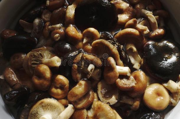 浸泡干燥的香菇蘑菇采用水