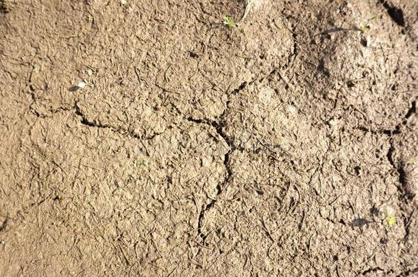 有<strong>裂缝</strong>的干的干燥的泥地球背景质地