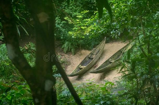 两个小而轻的舟紧接在后的向一河采用指已提到的人tropic一l森林