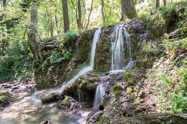 一倾泻关于小的瀑布采用森林库鲁古纳,保加利亚9
