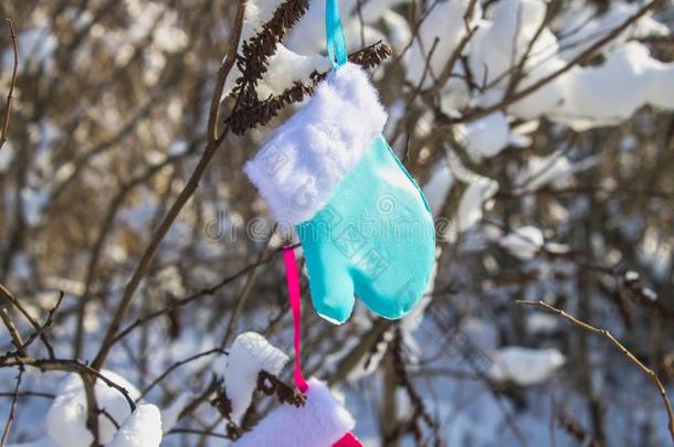 蓝色和粉红色的连指手套悬挂向树枝和雪.圣诞节玩具