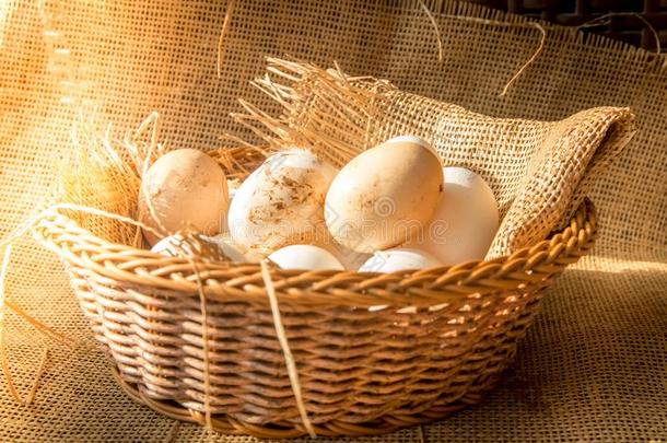 新鲜的有机的母鸡卵采用篮有包装的和粗麻布织物伙伴