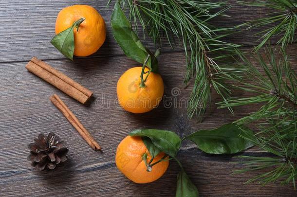 <strong>橘子</strong>和樟属植物乡间和松树圆锥体