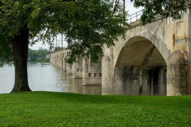 河边公园和桥越过河