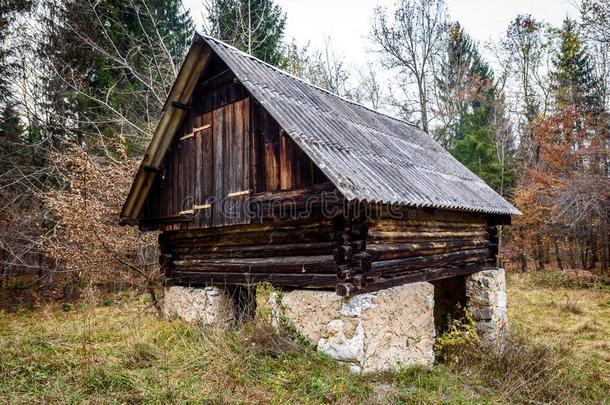 被放弃的老的<strong>木制</strong>的房屋<strong>小木屋</strong>采用指已提到的人森林采用斯洛文尼亚.
