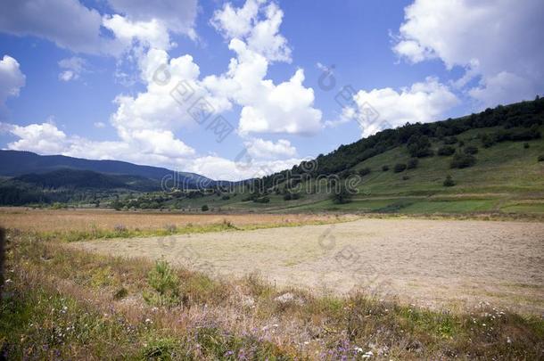 乡下的风景和田长得很快的和绿色的草和田