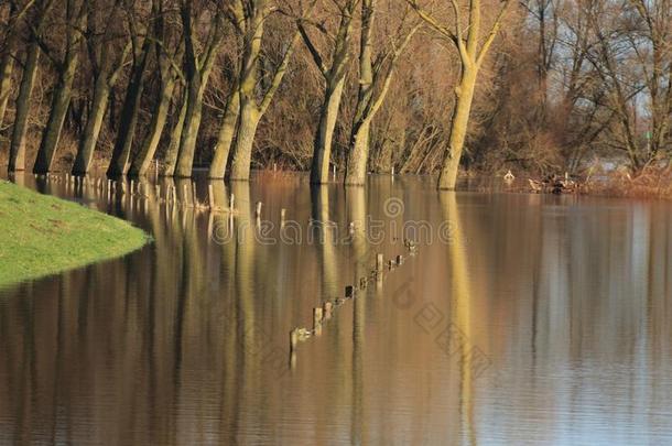 树和栅栏采用指已提到的人被水淹的河艾塞尔河