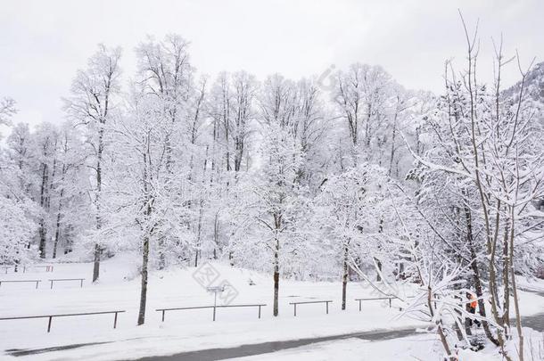 山风景遮盖雪