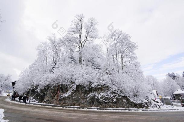 山风景遮盖雪