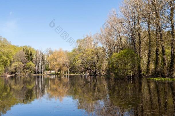 春季风景.都市的公园和池塘,蓝色天和树,困难的