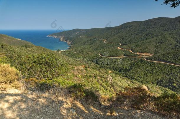 海景画关于树眼睛蛇海滩安培洛斯在锡索尼亚半岛,白垩纪