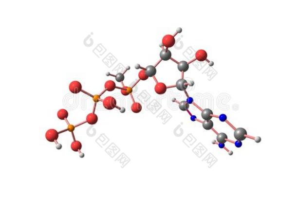 腺苷三磷酸盐分子的结构隔离的向白色的
