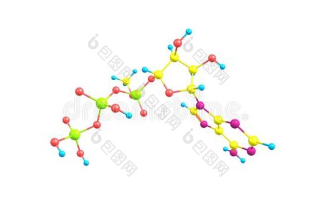 腺苷三磷酸盐分子的结构隔离的向白色的