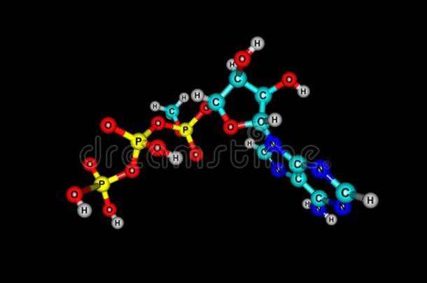 腺苷三磷酸盐分子的结构隔离的向黑的