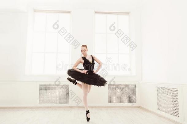 美丽的优美的芭蕾舞女演员采用黑的天鹅衣服