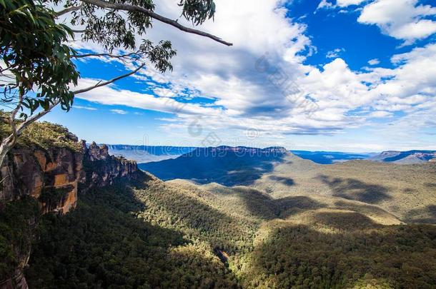 蓝色山国家的公园澳大利亚