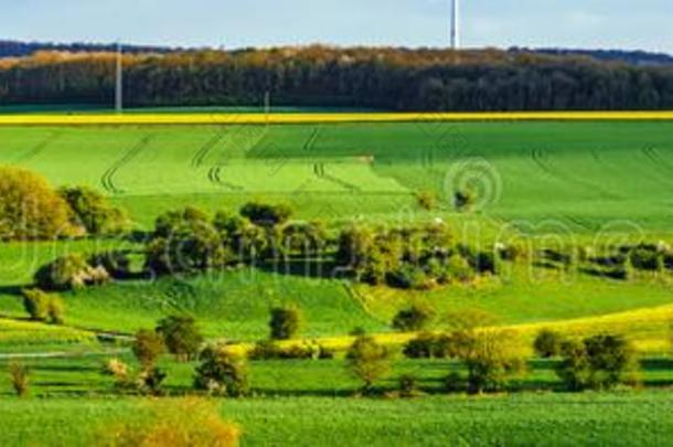 富有色彩的田采用比利时人乡村全景的看法和w采用dm