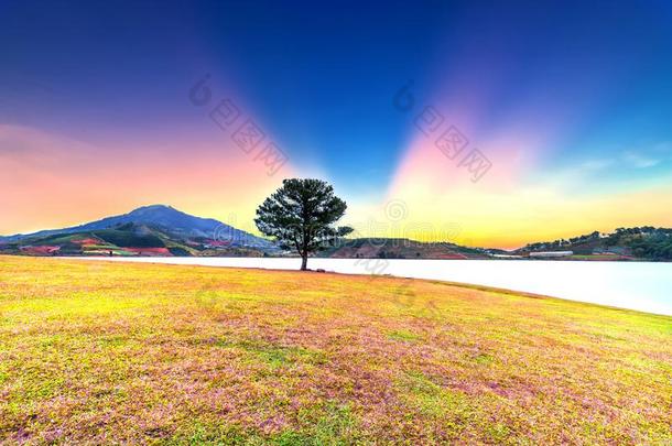 草小山和松树树黎明和富有色彩的微量光发出光Internationalorganizations国际组织