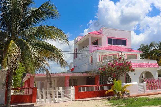 粉红色的和白色的墨西哥人num.三故事房屋和红色的栅栏和手掌