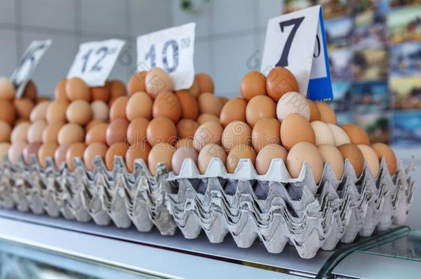 新鲜的卵在指已提到的人塞尔维亚人泽莱尼维纳克农家乐交易.