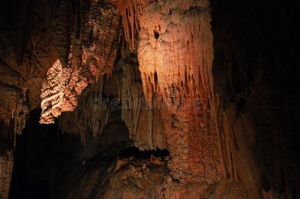 国王苏罗门洞穴采用鼹鼠小湾,塔斯马尼亚.