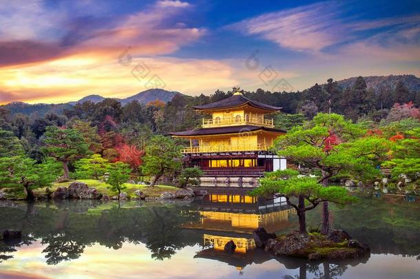 指已提到的人金色的亭.金卡库吉庙采用京都,黑色亮漆