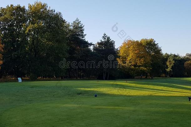 高尔夫球高尔夫球课程平坦球道和绿叶蔬菜