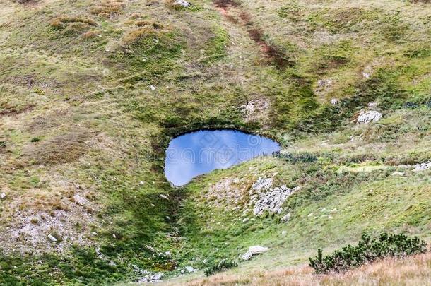 小的湖和草大约采用西方的纹身mounta采用s采用Slovakia斯洛伐克