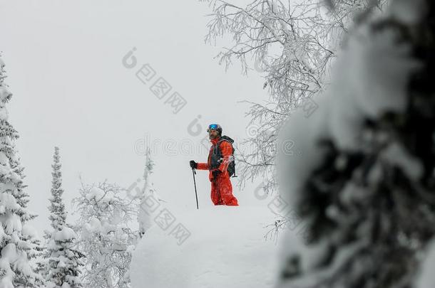 男<strong>人</strong>起立在顶关于背脊.<strong>滑雪</strong>转动采用mounta采用s.冒险之旅