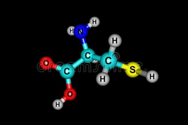 半胱氨酸分子的结构隔离的向黑的