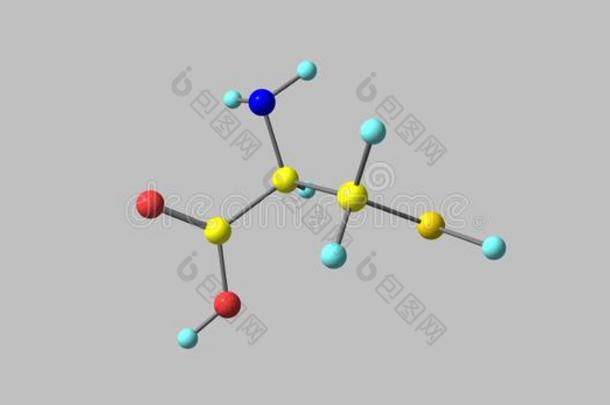 半胱氨酸分子的<strong>结构</strong>隔离的向灰色的