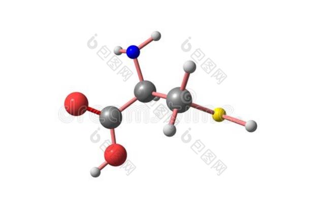 半胱氨酸分子的<strong>结构</strong>隔离的向白色的