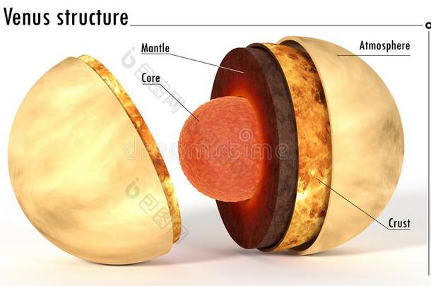 维纳斯内部的结构为科学