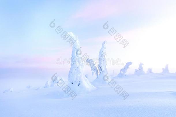 魔力的冬风景采用里西图里国家的公园.