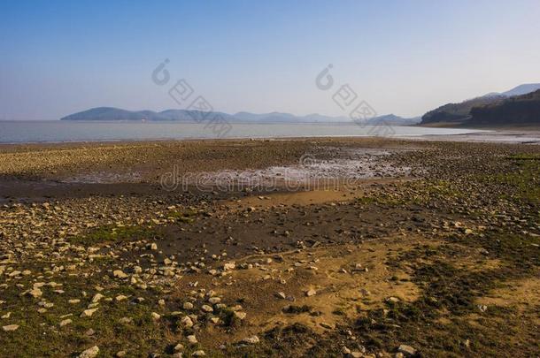 冬风景关于鸟自然储备采用huij采用湖,安徽vide提供