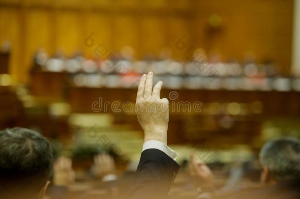 成员关于罗马尼亚人议会投票