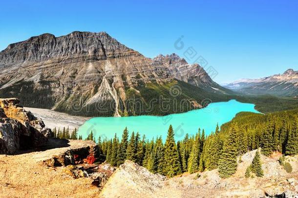 佩托湖全景画,加拿大人的落基山脉,艾伯塔加拿大