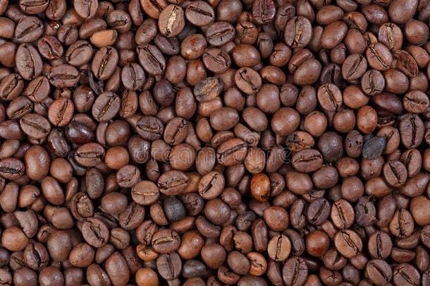 质地关于喀麦隆粗壮咖啡豆美食家c关于fee.