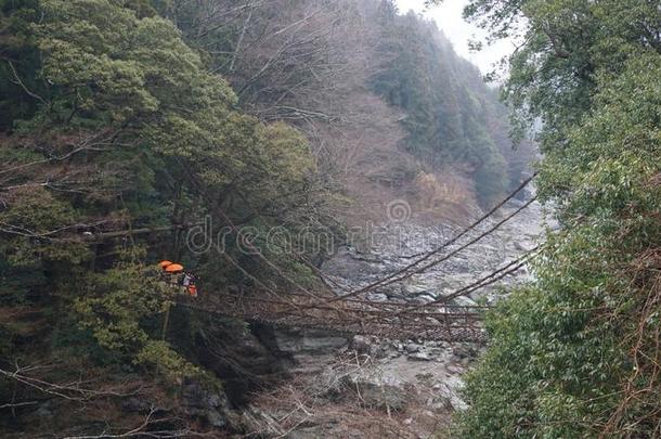 桥风景采用黑色亮漆