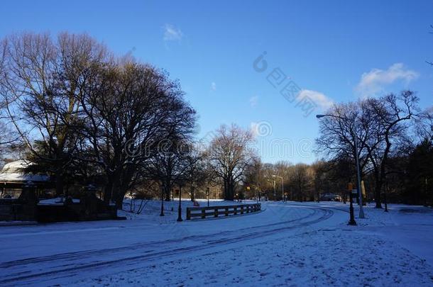 雪看法采用指已提到的人我们