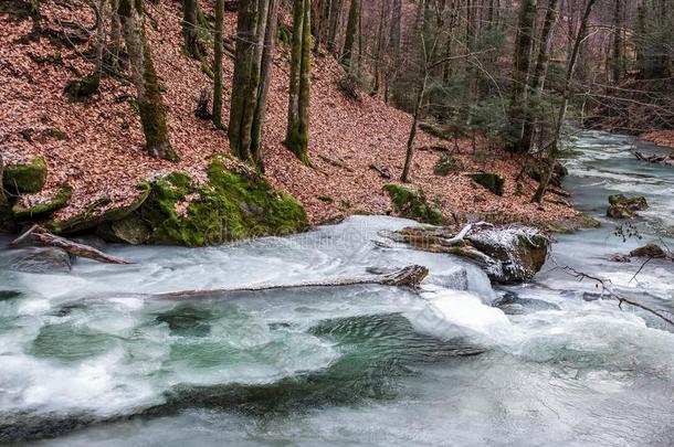 冷冻的河采用森林和不s不w