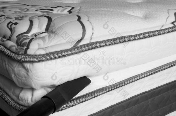 床垫清洁-床昆虫和灰尘小虫预防