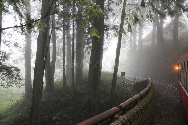 火车操纵采用指已提到的人森林,<strong>阿里山</strong>,台湾