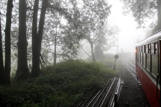 火车操纵采用指已提到的人森林,<strong>阿里山</strong>,台湾