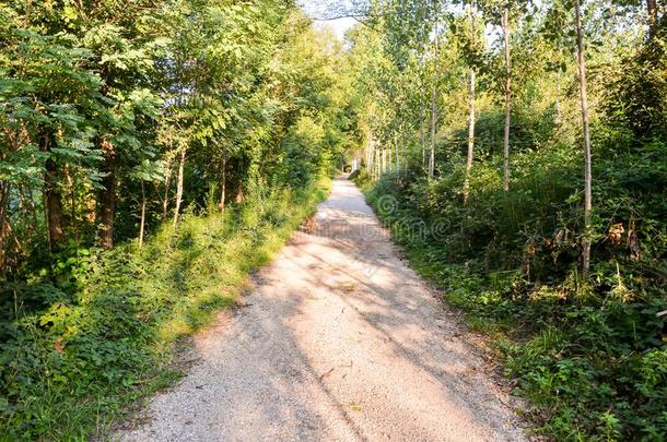 乡村沙漠泥土小路