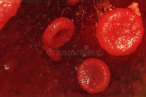 3英语字母表中的第四个字母说明红色的血细胞采用ve采用.红色的血细胞流采用